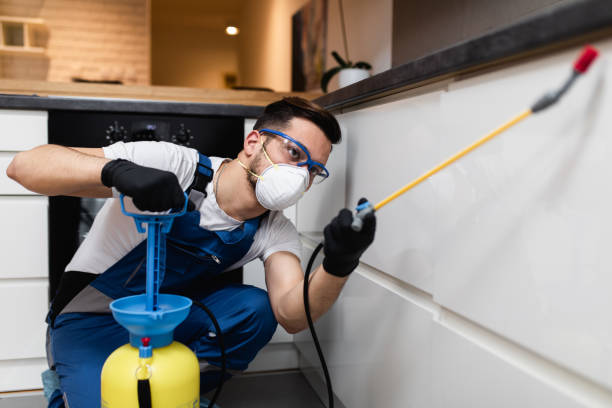 Best Local Pest Control Services  in Oakland, MO