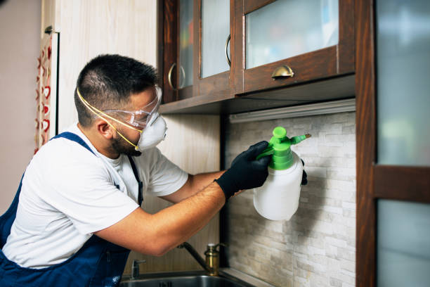 Best Wasp Removal Services  in Oakland, MO