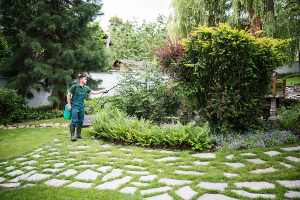 Best Best Pest Control Companies  in Oakland, MO