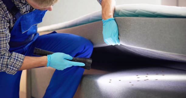 Best Bed Bug Extermination  in Oakland, MO