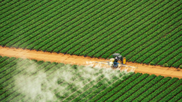 Best Pest Removal Services  in Oakland, MO