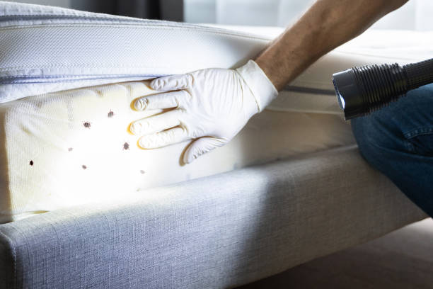 Professional Pest Control in Oakland, MO