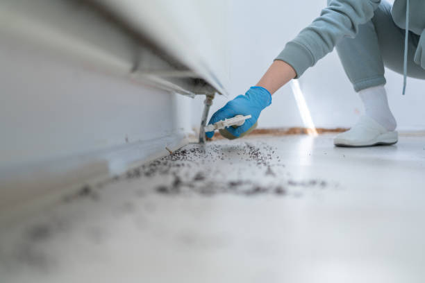 Best Termite Control Services  in Oakland, MO